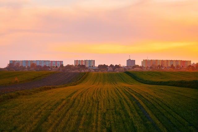 Potential Buyers and Future Investments in urban Agriculture