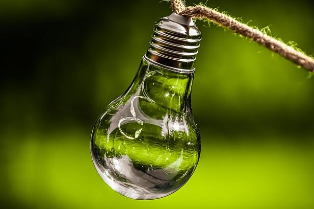 Environmental Sustainability: Balancing Development and Conservation