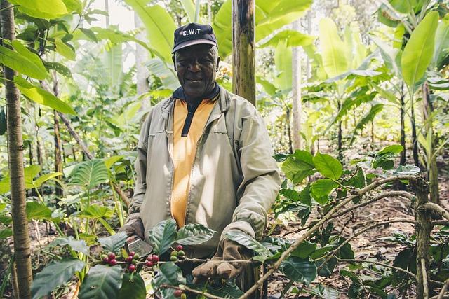 Innovative⁤ Strategies for Supporting Local Coffee Farmers