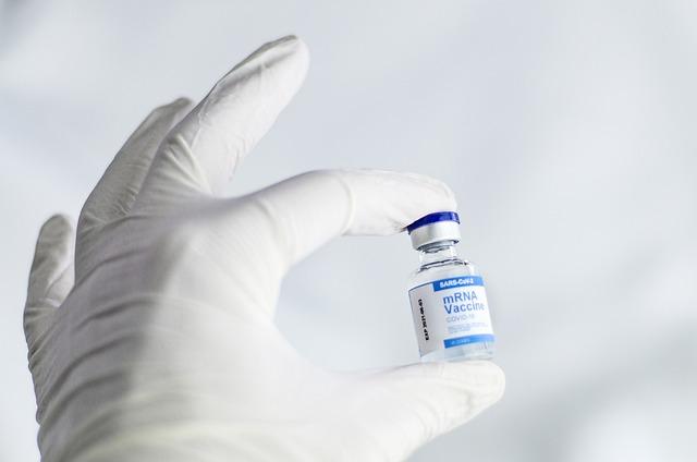 key Symptoms and Transmission Methods of Dengue Virus