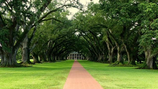 Acknowledging the Past: Slavery's Influence on Modern Wealth Accumulation