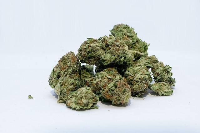 Integrating Medical Marijuana into Traditional Health Care Practices