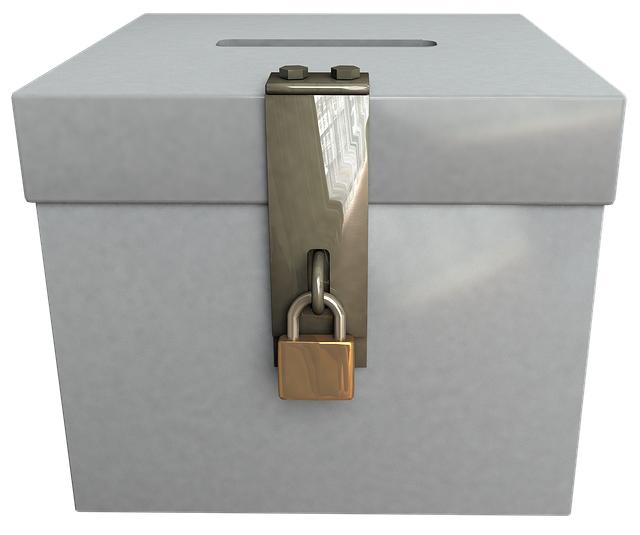 Understanding Local and Federal Voting Resources for Expatriates