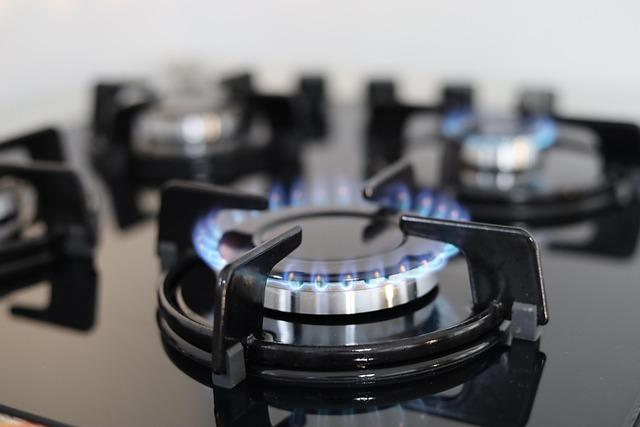 Insights‍ into Woodside’s​ Deepwater Gas Project and Its Importance to the‌ Region