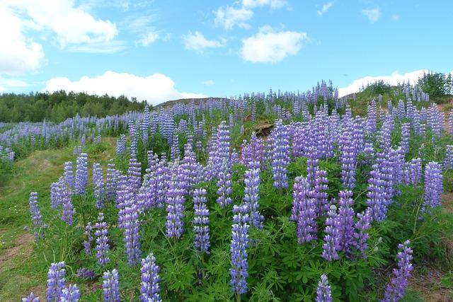 How Alaskan ​Political Climate Influences the ‍Final‌ Ballot Count