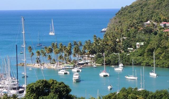 Why now’s the time to explore the ‘quiet revolution’ of St Lucia’s wild side – The Independent