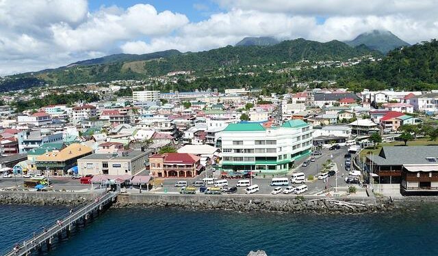 Dominica launches HEARTS in the Americas – PAHO/WHO – Pan American Health Organization