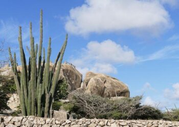 Aruba Tourism Authority Hires Sales Manager for Western Region – Travel Agent Central