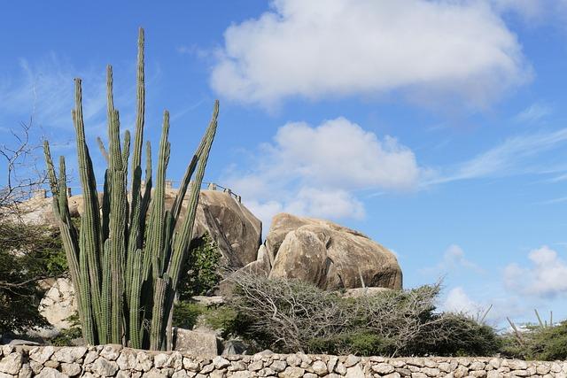 Aruba Tourism Authority Hires Sales Manager for Western Region – Travel Agent Central