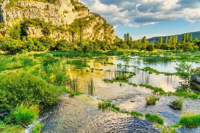 Understanding the Ecological Implications of River alterations
