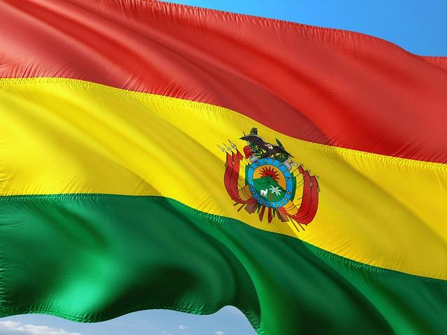 Bolivia declares national emergency due to forest fires – Reuters.com