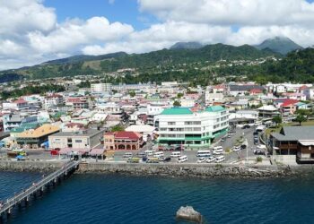 Dominica welcomes its first official American Airlines direct flight from Miami – Dominica News Online
