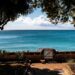 Barbados travel guide: Where to go and what to see on the Caribbean island – The Independent