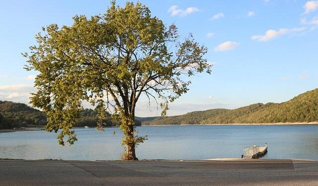 Arkansas tops the list of most popular places to move in 2024: Study – Fox News