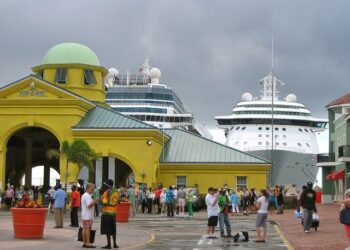 St. Kitts and Nevis selected to serve on PAHO’s 61st Directing Council General Committee – SKNVibes.com