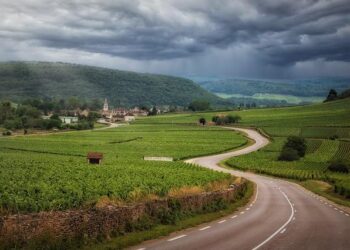 France’s longest border isn’t with neighbour in Europe – but a country in South America – Express
