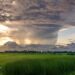 Hurricane Oscar leaves at least six dead in Cuba – BBC.com
