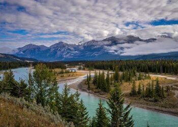‘Canada will never, ever be part of America’, incoming PM says – BBC.com