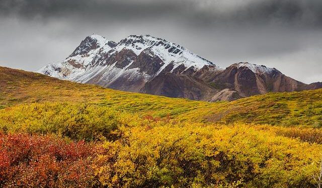 Three people from Alaska become part of U.S. history as part of the Electoral College – Alaska’s News Source