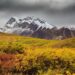 Three people from Alaska become part of U.S. history as part of the Electoral College – Alaska’s News Source