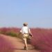 Despegar revolutionizes the tourism industry introducing the region’s first Generative AI Travel Assistant – Business Wire