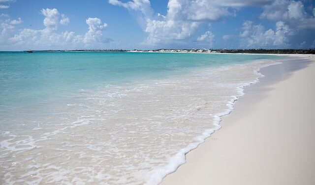 Anguilla files for international arrest warrant for American charged in hotel employee’s death – ABC News