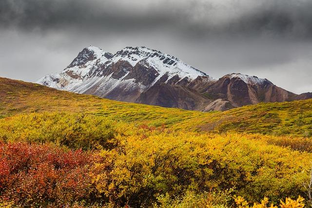 Authorities identify 10 people who died in Alaska plane crash – ABC News