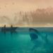 Shark attack injures 2 American women, one seriously, in the Bahamas – MSN