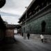 China’s Xi heads to Peru to boost Latin America ties – Semafor