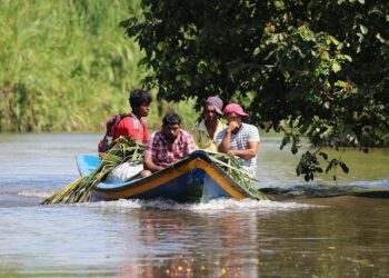 Some Notes on the Triangle of Guyana, USA and China – OPEU