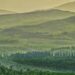 Tuscany With a Side of Magic: Savoring Bolivia’s Wine Country – The New York Times