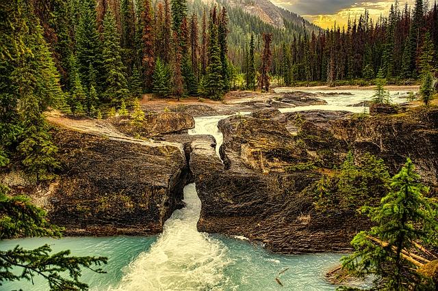 Discovering the Unique Wilderness of Glacier National Park