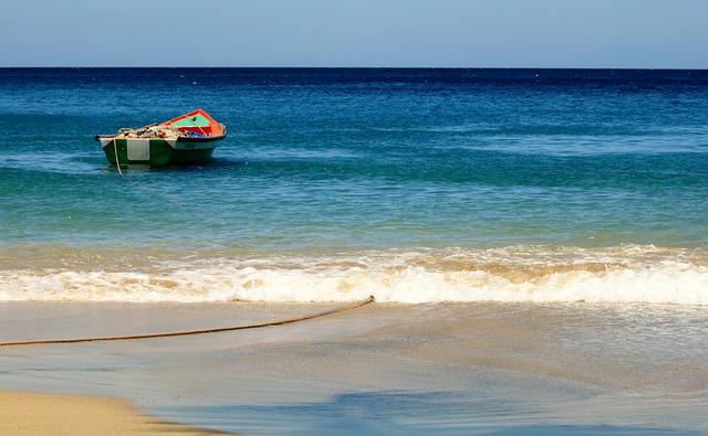 Marketing Martinique Rhum: Strategies for Prosperous American Integration