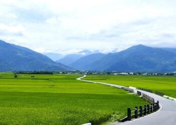 Taiwan, US, St. Lucia stage GCTF crime prevention forum in the Caribbean – Taiwan Today
