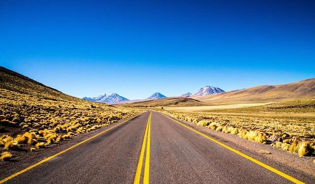 International Representative Spotlight: Chile, Peru, and Argentina – georgia.org