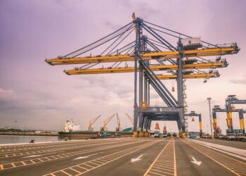 Xi inaugurates South America’s first Chinese-funded port in Peru – FRANCE 24 English