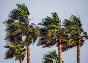 Tropical Storm Sara forms in the Western Caribbean, threatens Honduras – Yale Climate Connections