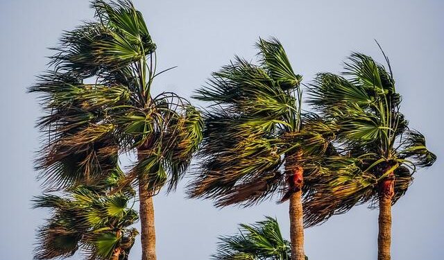 Tropical Storm Sara forms in the Western Caribbean, threatens Honduras – Yale Climate Connections