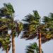 Tropical Storm Sara forms in the Western Caribbean, threatens Honduras – Yale Climate Connections