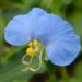 How to travel to St Lucia on a budget – Lonely Planet Travel News