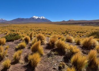 Mediapro Chile Produces the Most Important Enduro Competition in South America – Sports Video Group