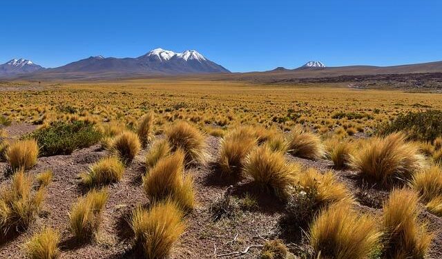 Mediapro Chile Produces the Most Important Enduro Competition in South America – Sports Video Group