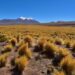 Mediapro Chile Produces the Most Important Enduro Competition in South America – Sports Video Group