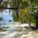 U.S. Shares Warning To Avoid This Popular Caribbean Vacation Spot – TheTravel
