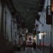 Latin America and the Caribbean Overview – February 2025 – ACLED