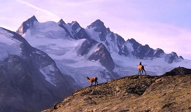 Returning nationals: Don’t scam us! – Barbados Today