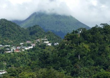 Dominica on parade in Connecticut – Dominica News Online
