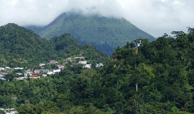 Dominica on parade in Connecticut – Dominica News Online