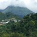 Dominica on parade in Connecticut – Dominica News Online