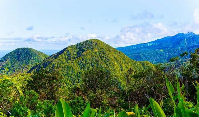 Guadeloupe is surging the travel Industry With New Visa-Free Entry Policy For 98 Countries, Including Schengen Nations, Brazil And Kuwait – Travel And Tour World